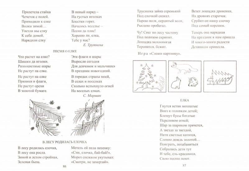 Развитие речи. Окружающий мир. Дидактический материал к занятиям со старшими дошкольниками. ФГОС ДО — Ольга Владимировна Епифанова (2)