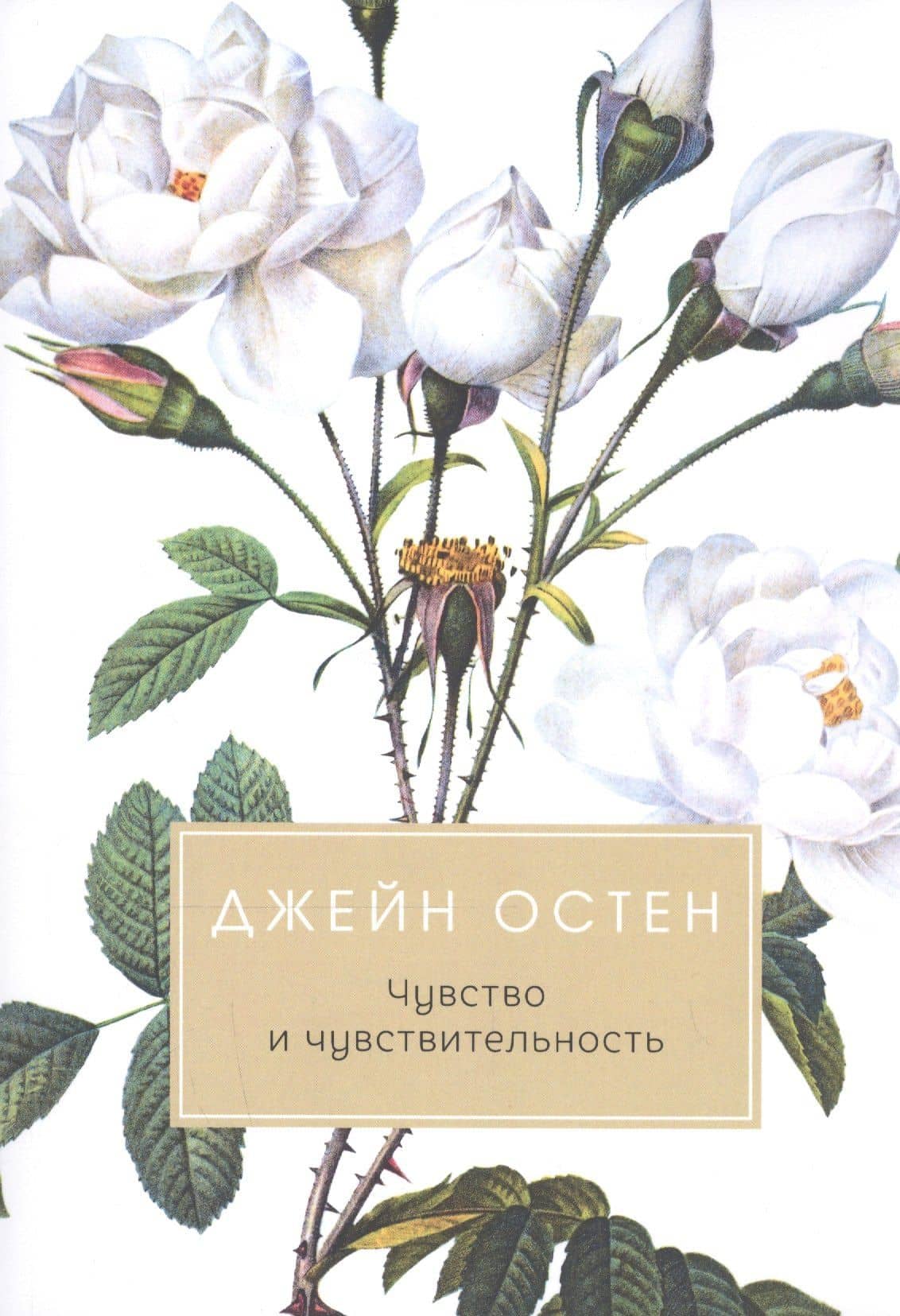 Чувство и чувствительность