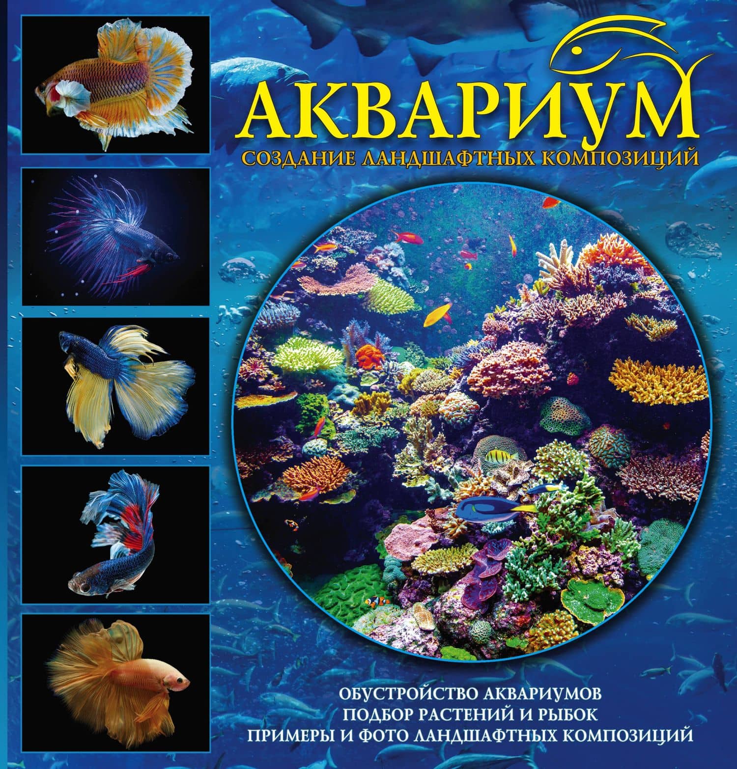 Аквариум. Создание ландшафтных композиций. Примеры и рекомендации