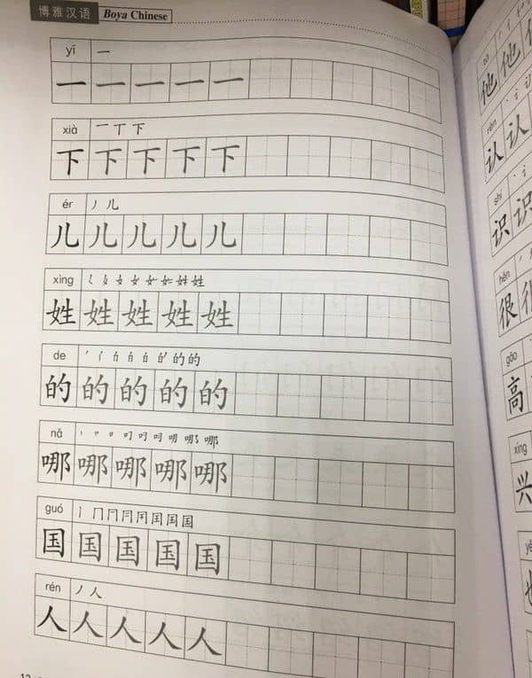 Курс китайского языка "Boya Chinese". Начальный уровень. Ступень 1. Рабочая тетрадь — Сяоци Ли (3)