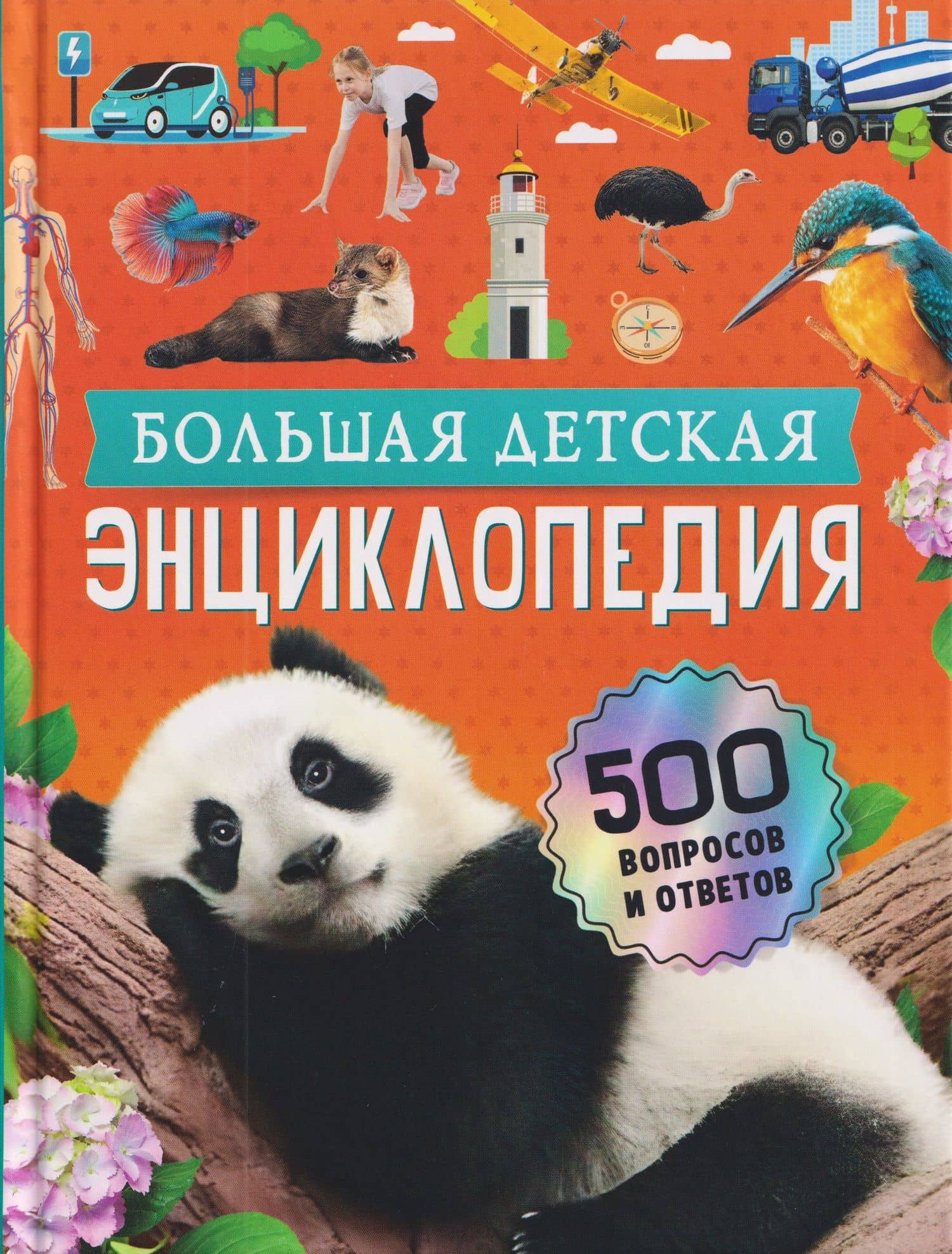Большая детская энциклопедия. 500 вопросов и ответов