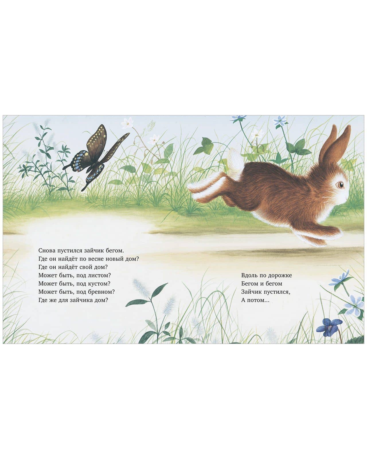Зайка ищет дом — Margaret Wise Brown (2)