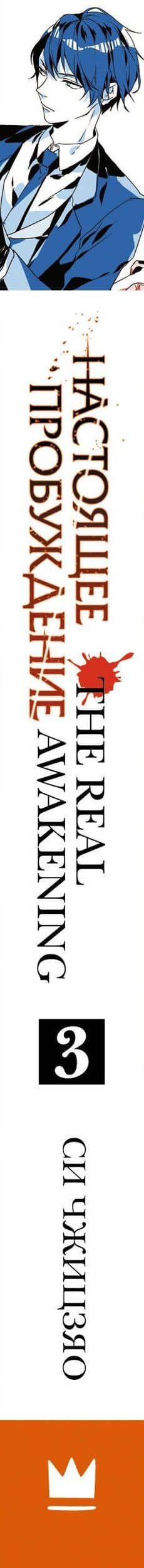 Настоящее пробуждение. Real Awakening. Книга 3 — Си Чжицзяо (3)