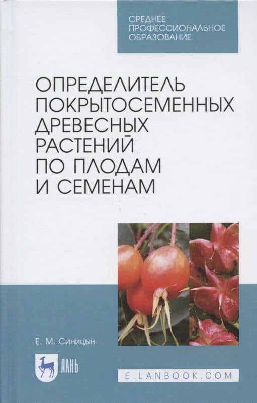 Определитель покрытосеменных древесных растений по плодам и семенам — Евгений Михайлович Синицын