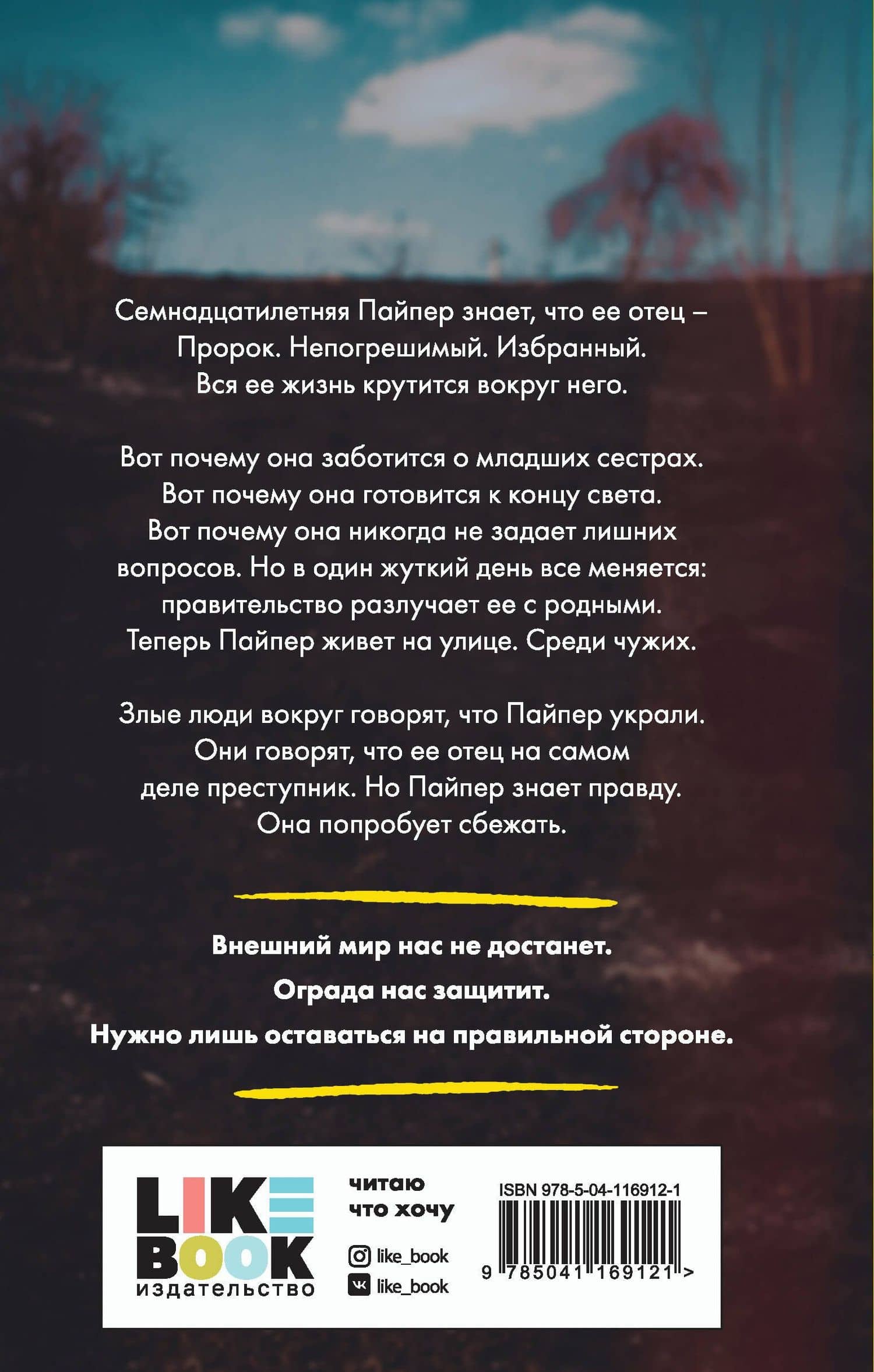Дочь лжеца — Меган Кули Петерсон (2)