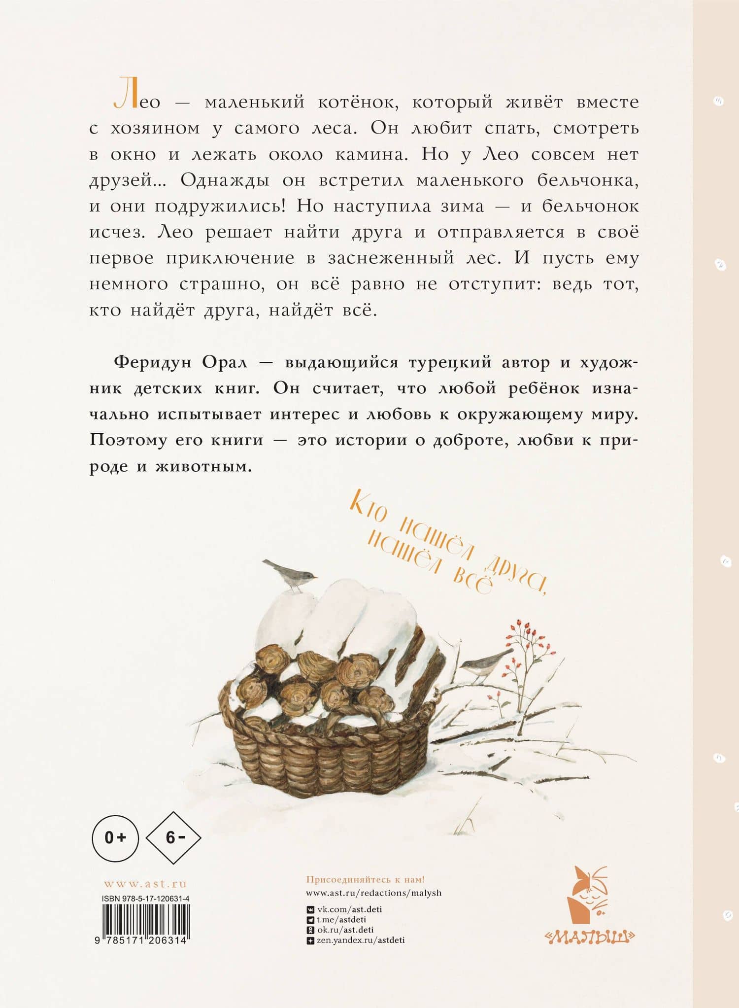 Как котенок друга искал — Феридун Орал (2)