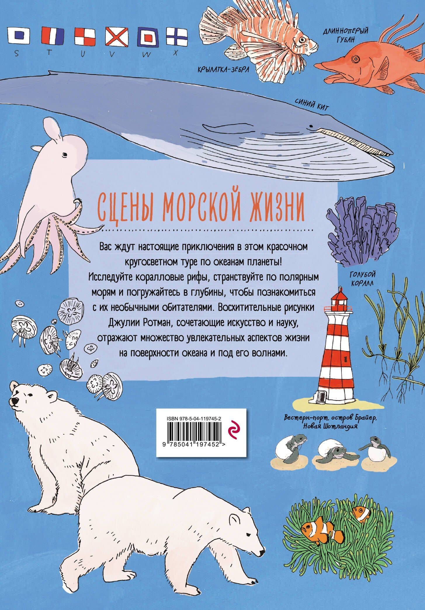 Анатомия океана. Занимательные детали жизни подводного мира — Джулия Ротман (2)