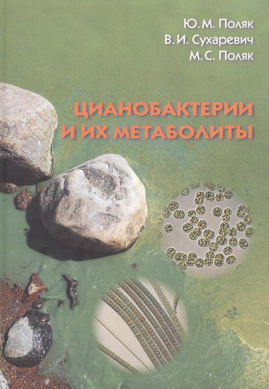 Цианобактерии и их метаболиты — Юлия Марковна Поляк
