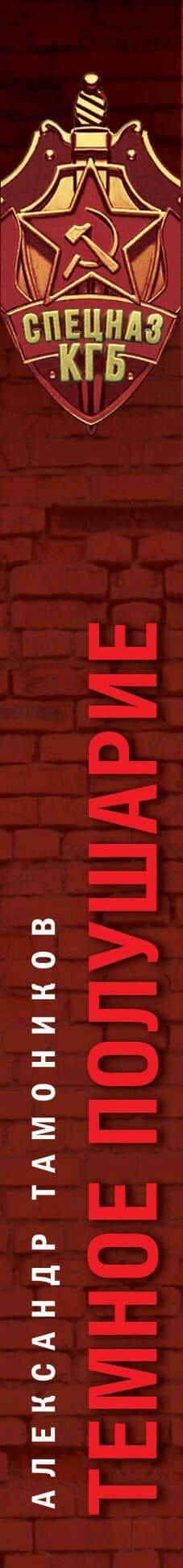 Темное полушарие — Александр Александрович Тамоников (3)