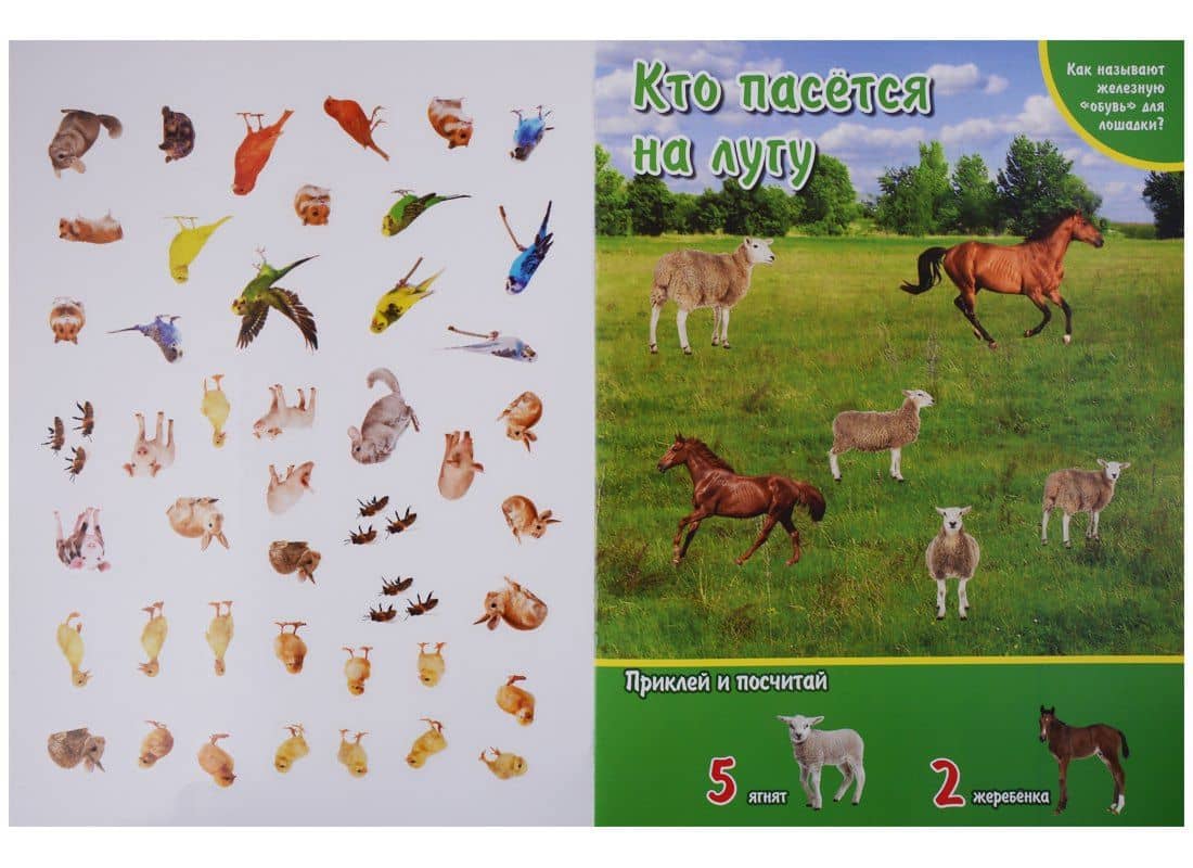 Домашние животные. (активити +50 найди и покажи). — Алексей Козырь (2)