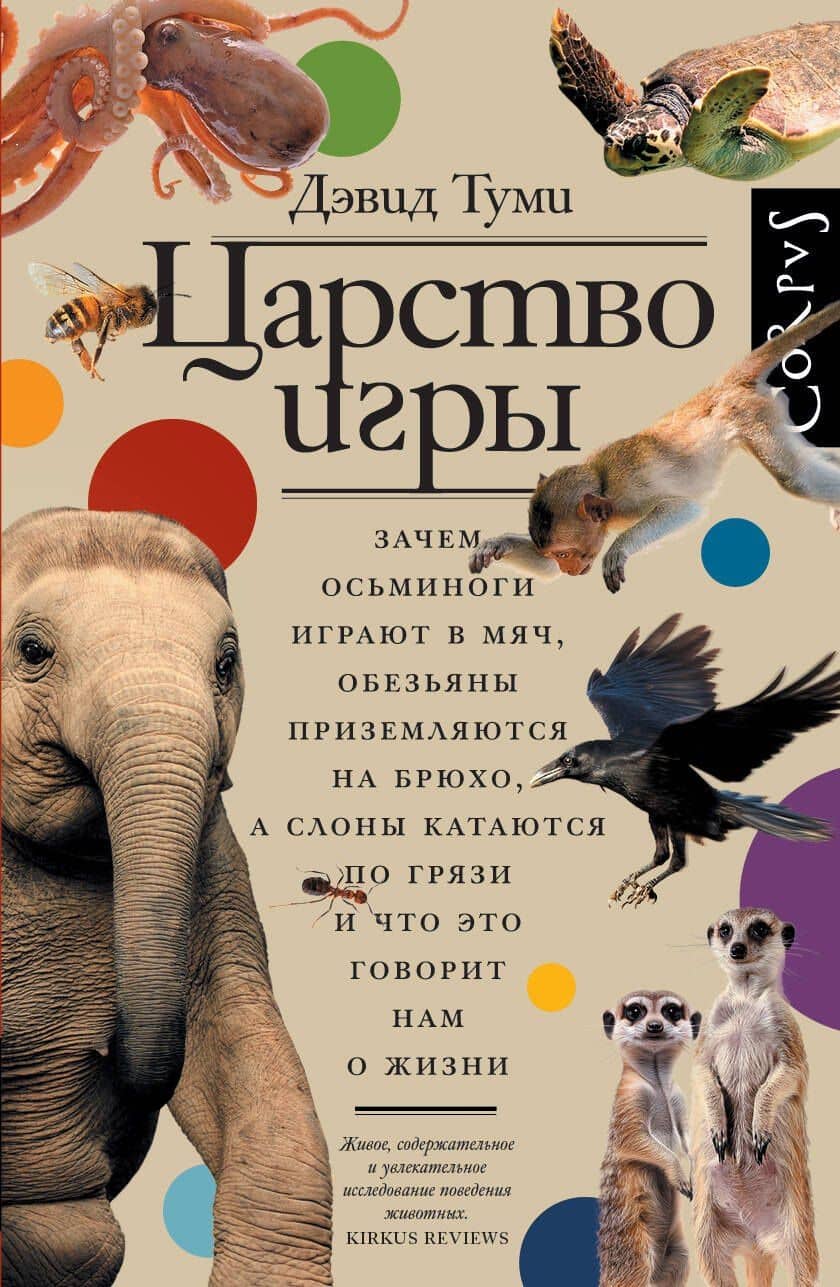 Царство игры — Дэвид Туми