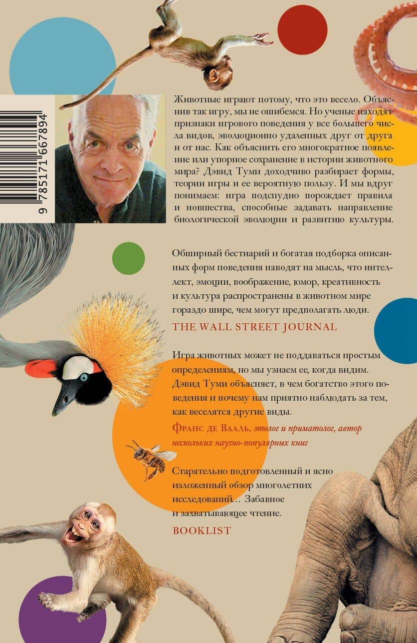 Царство игры — Дэвид Туми (2)