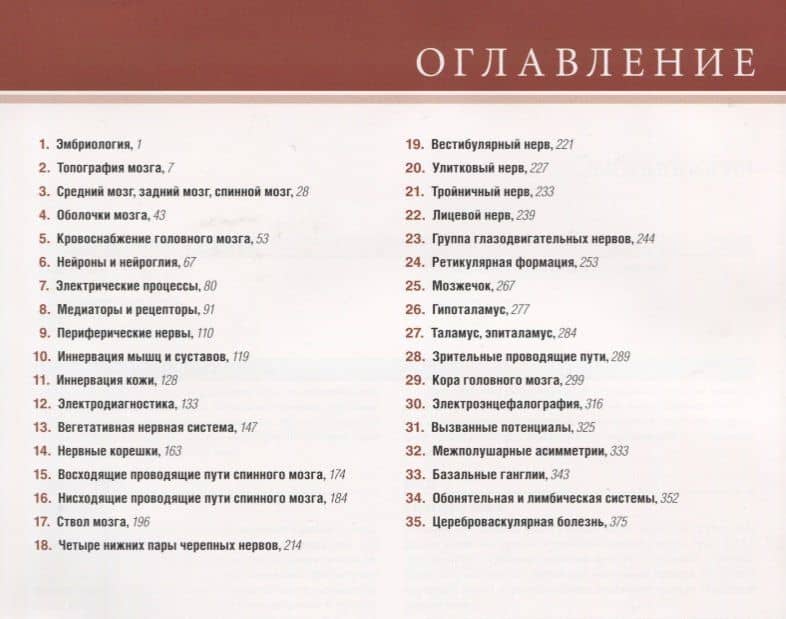 Клиническая нейроанатомия и неврология по Фицджеральду (Мтуи) (2)