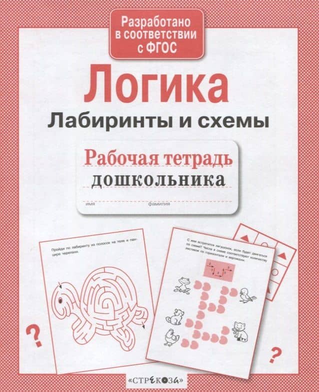 Рабочая тетрадь дошкольника. Логика. Лабиринты и схемы
