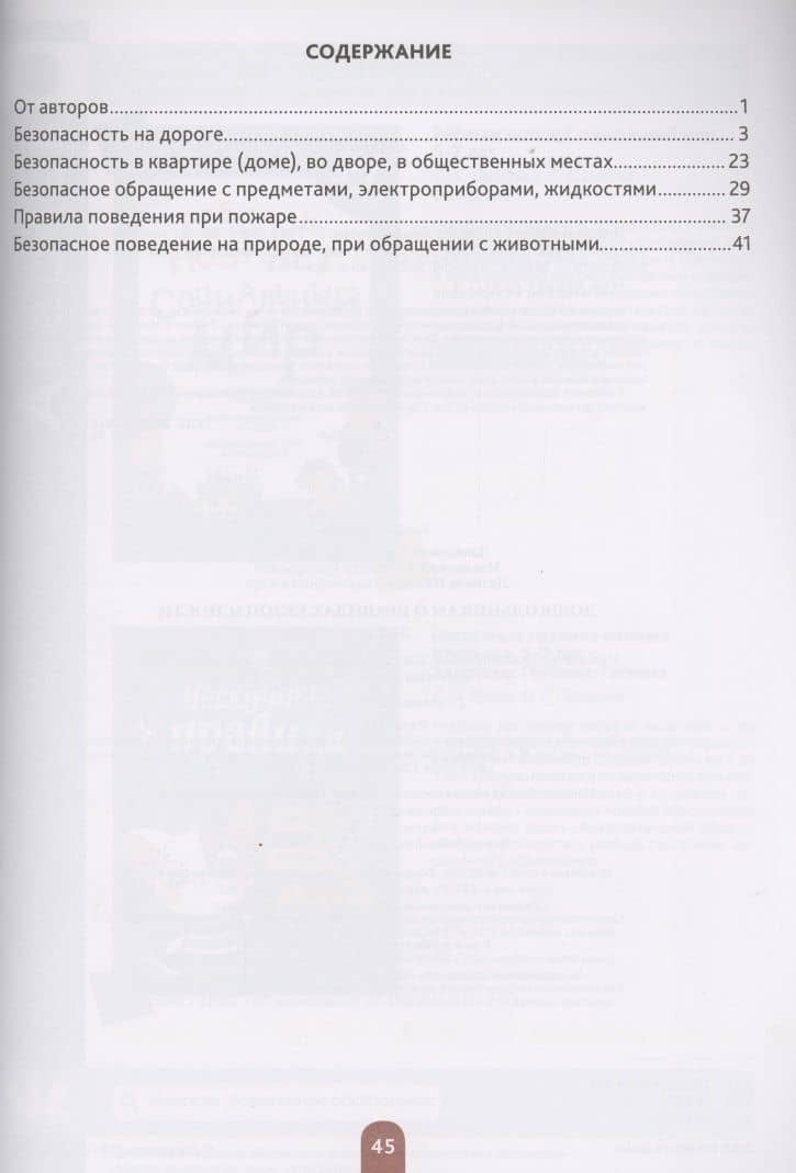 Дошкольникам о правилах безопасности. 5-7 лет. Учебное наглядное пособие — Наталья Владимировна Литвина (2)