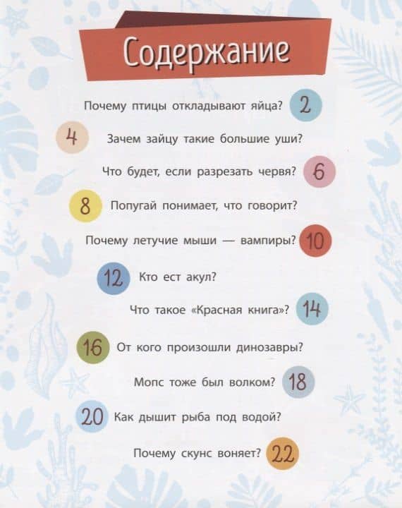 Животные — Анна Булгакова (2)