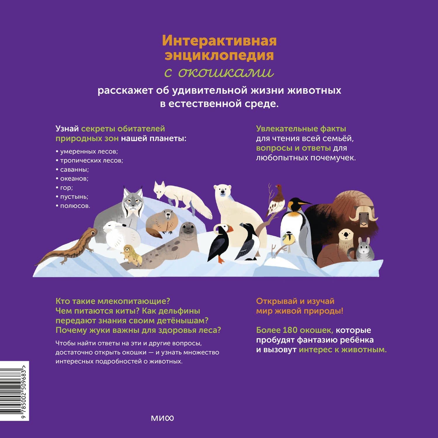 Моя энциклопедия с окошками. Животные. Открывай и изучай! — Эммануэль Кеси-Лепти (2)
