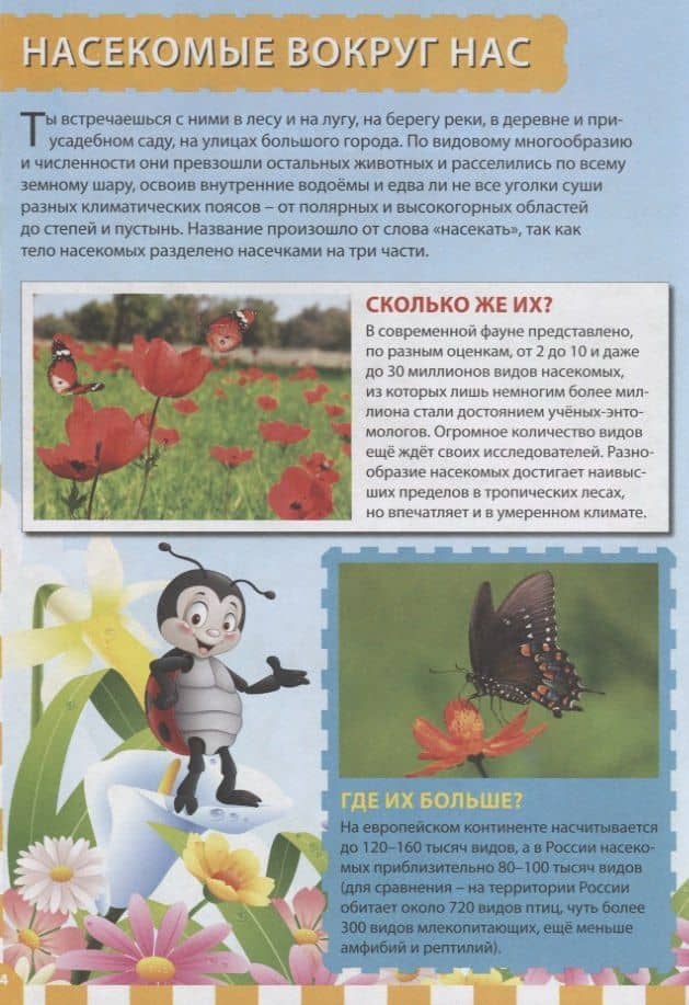 Мир насекомых (3)