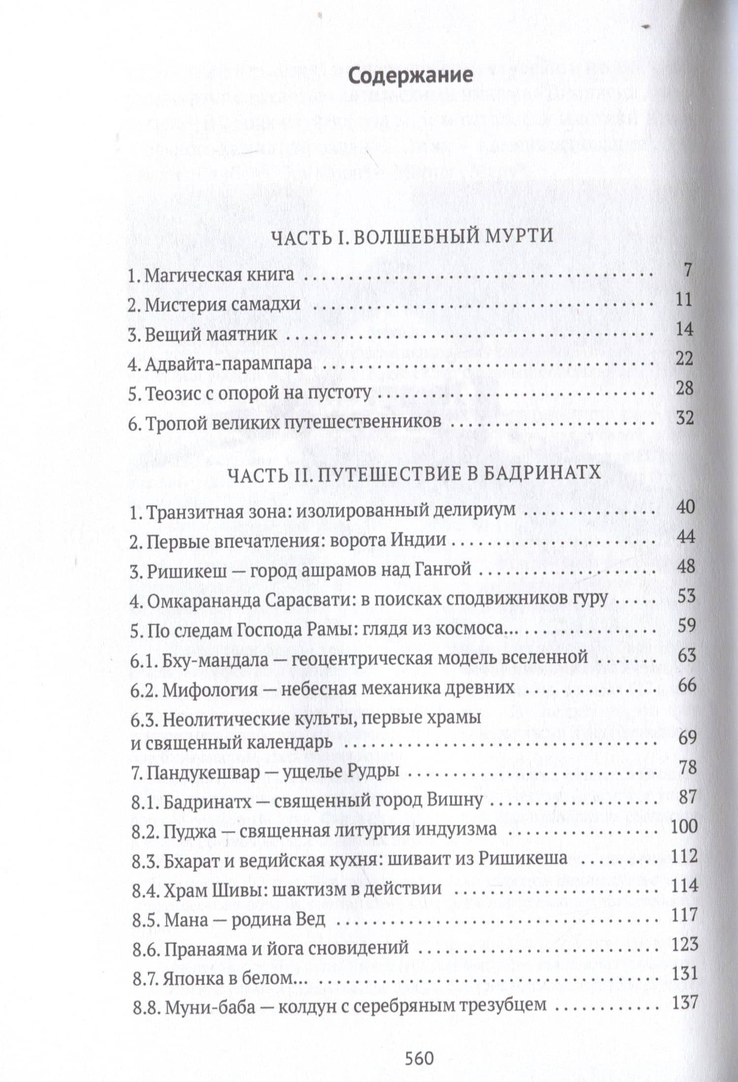 Тайна черного мурти, или У истоков адвайты — Владимир Владимирович Видеманн (3)