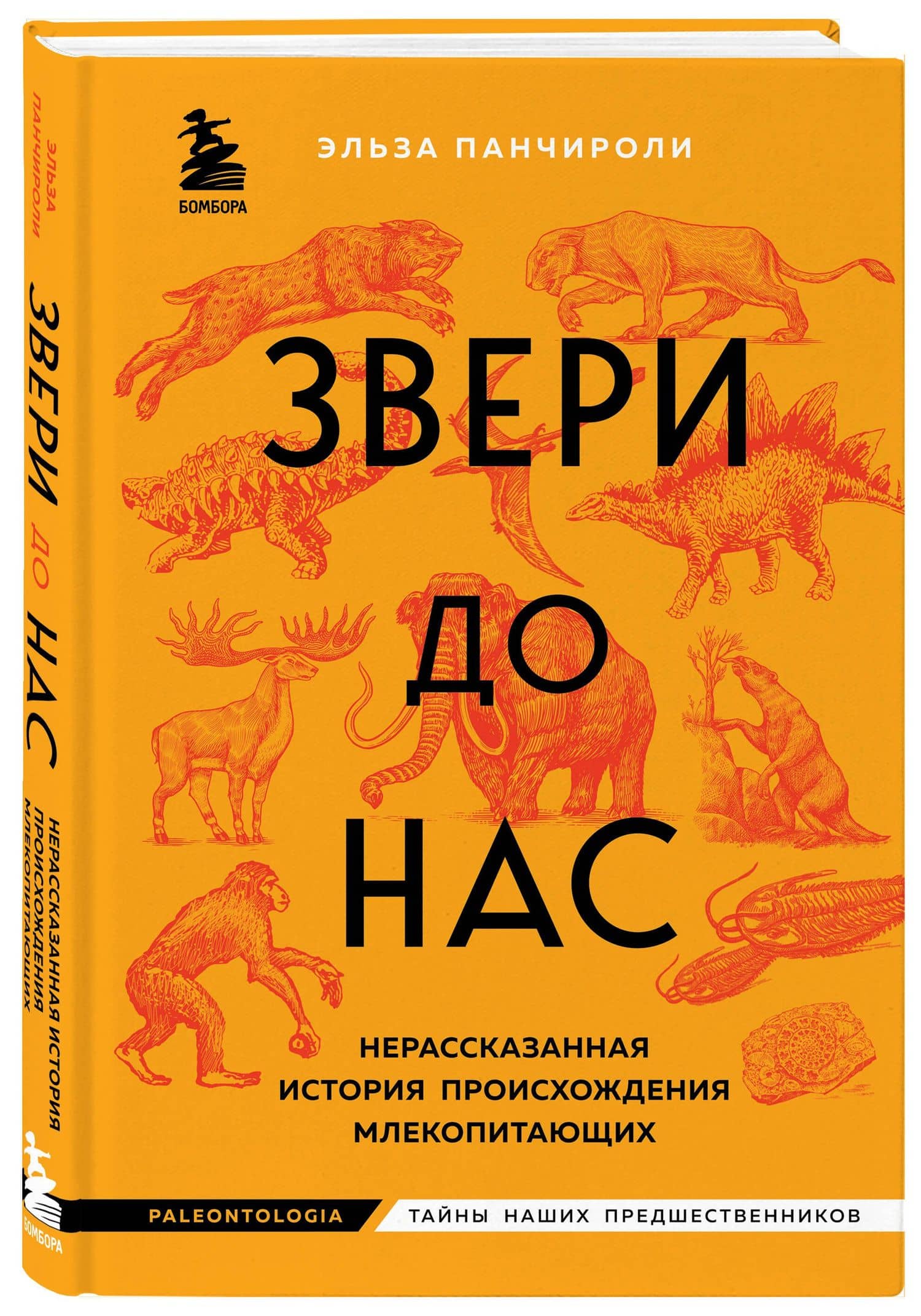 Звери до нас. Нерассказанная история происхождения млекопитающих — Эльза Панчироли (3)