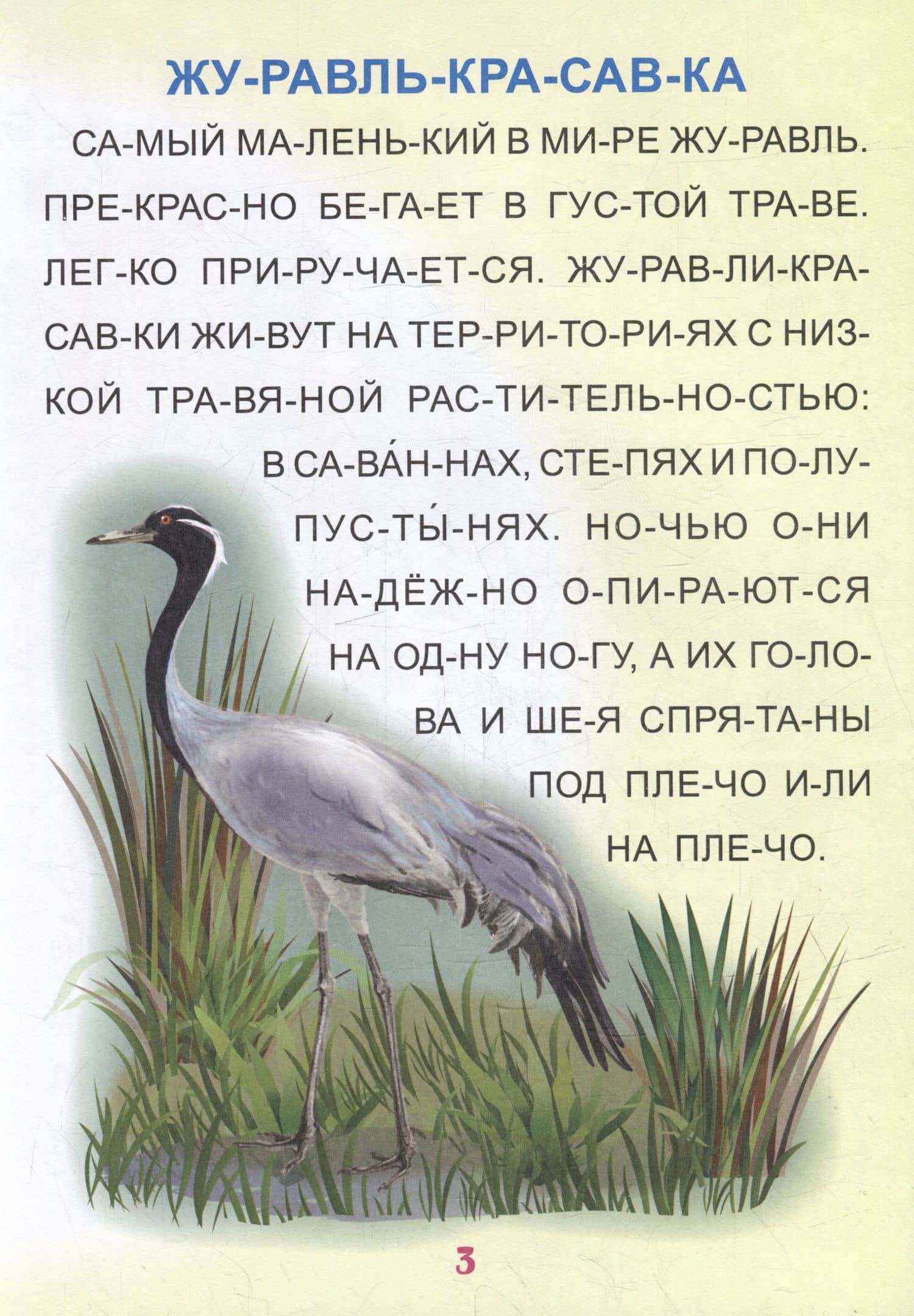 Читаем по слогам. Крупные буквы. Читалочки-познавалочки. Рассказы: слоговой тренажер (3)