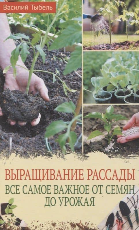 Выращивание рассады. Все самое важное от семян до урожая — Василий Тыбель