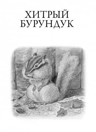 Рассказы о природе — Геннадий Яковлевич Снегирев (3)