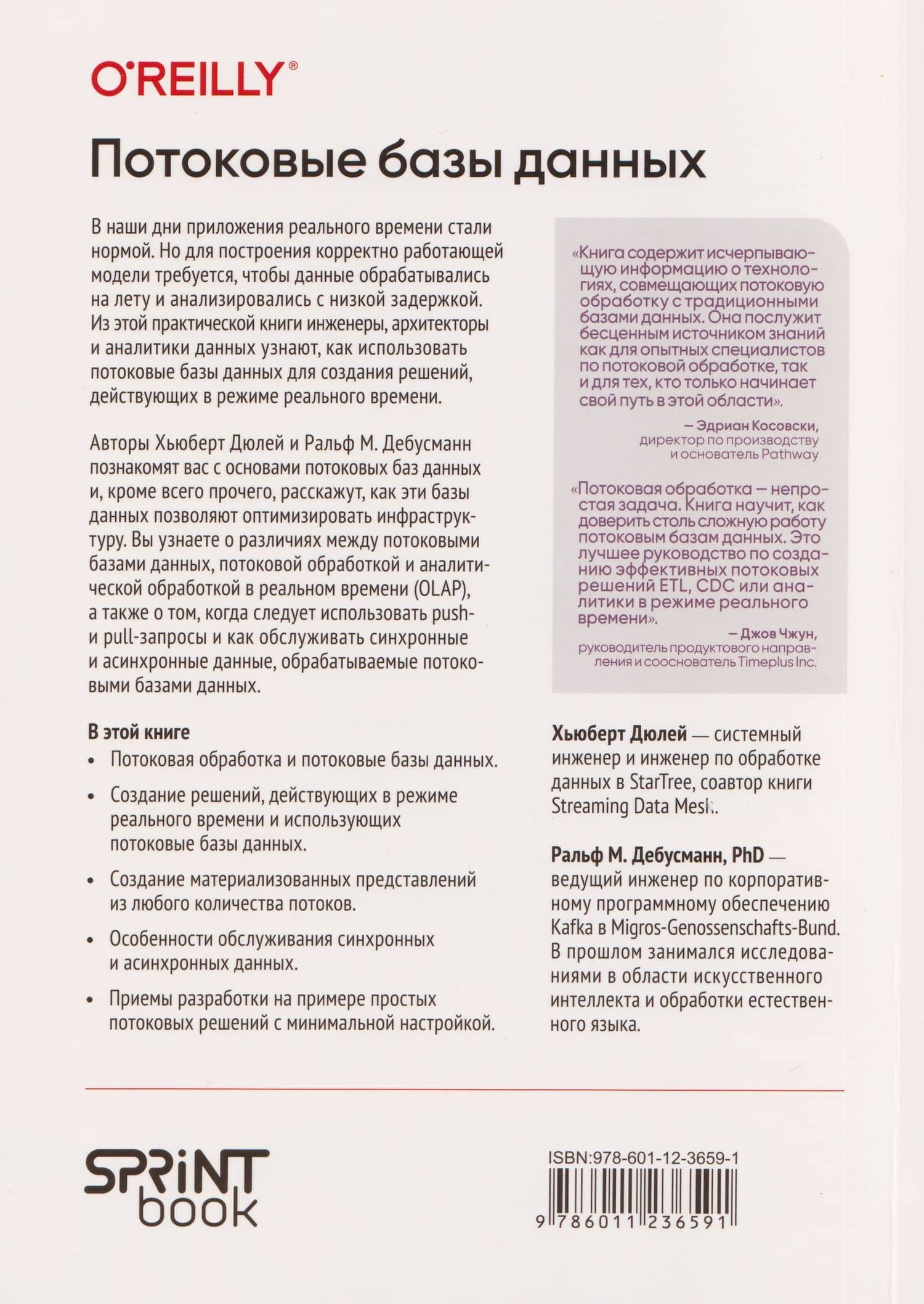 Потоковые базы данных. Объединение пакетной и потоковой обработки — Ральф М. Дебусманн (2)