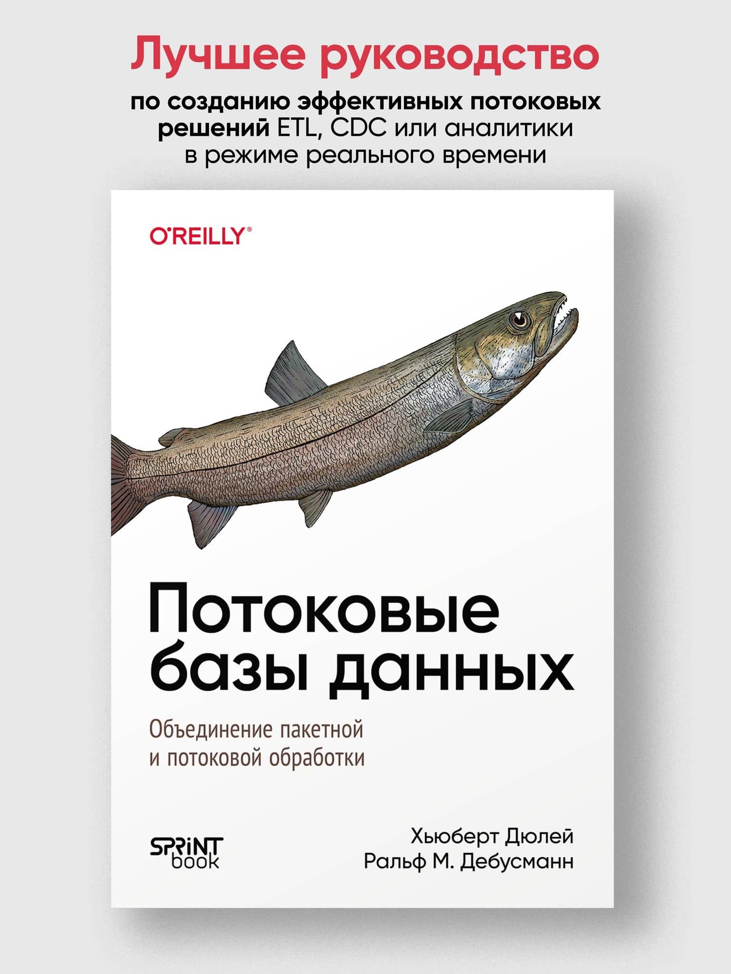 Потоковые базы данных. Объединение пакетной и потоковой обработки — Ральф М. Дебусманн (3)