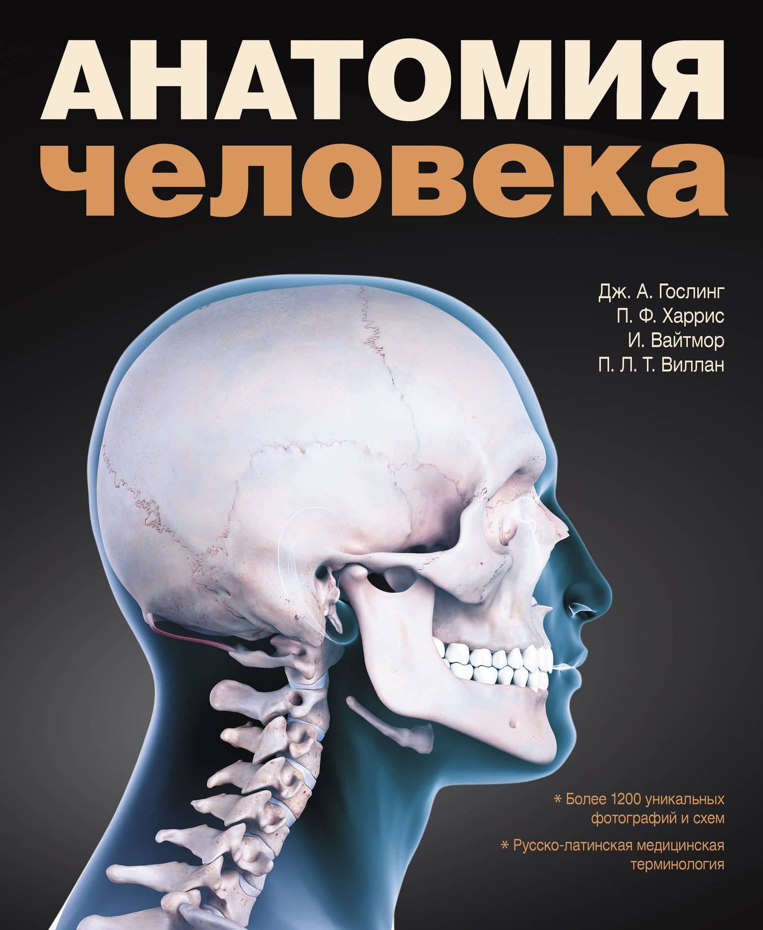 Анатомия человека