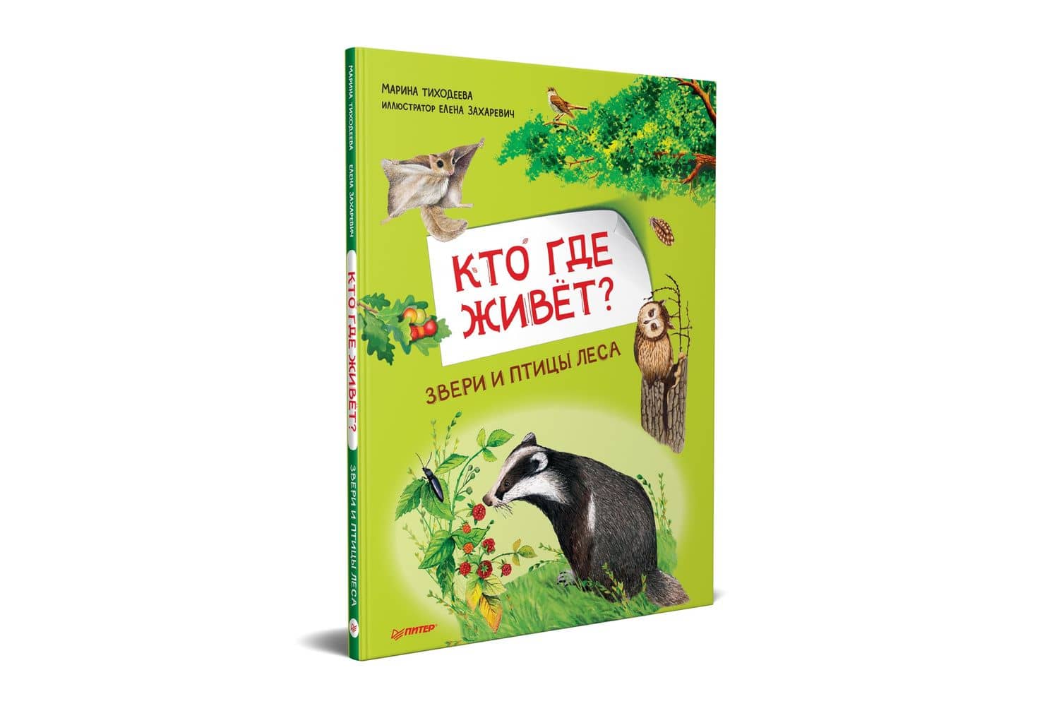 Кто где живёт? Звери и птицы леса — Марина Юрьевна Тиходеева (2)