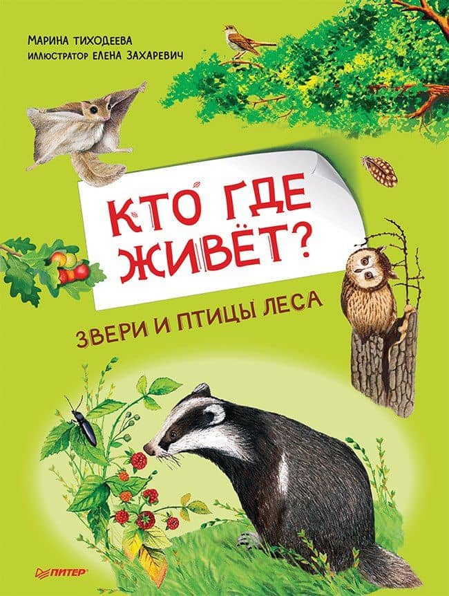 Кто где живёт? Звери и птицы леса — Марина Юрьевна Тиходеева