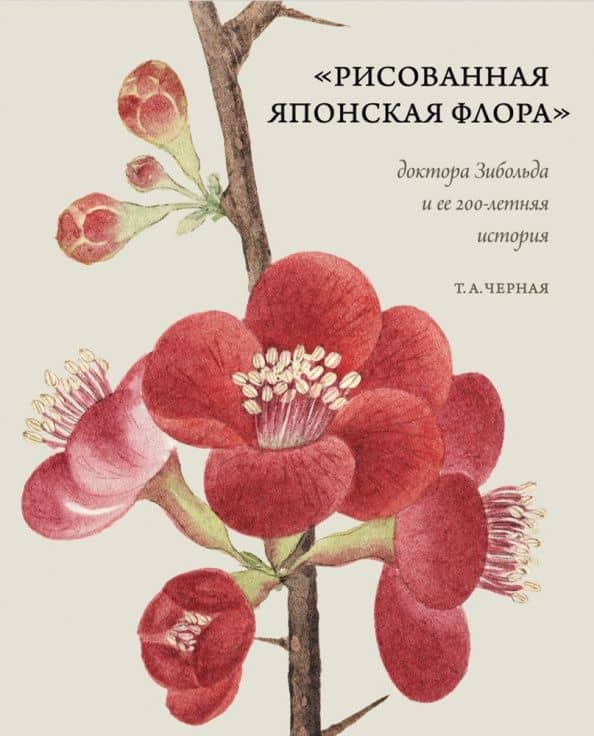 Рисованная Японская Флора доктора Зибольда и ее 200-летняя история — Т. А. Черная