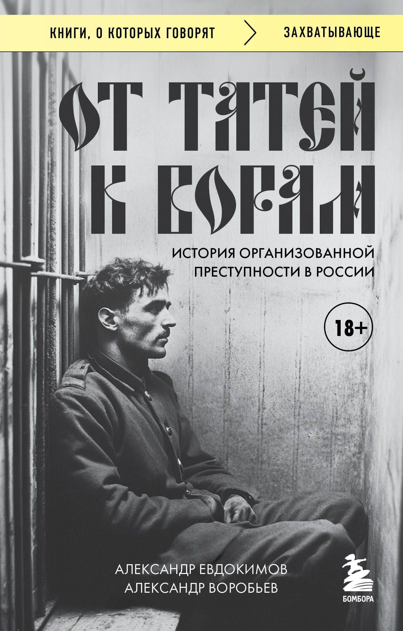 От татей к ворам: история организованной преступности в России — Александр Витальевич Евдокимов