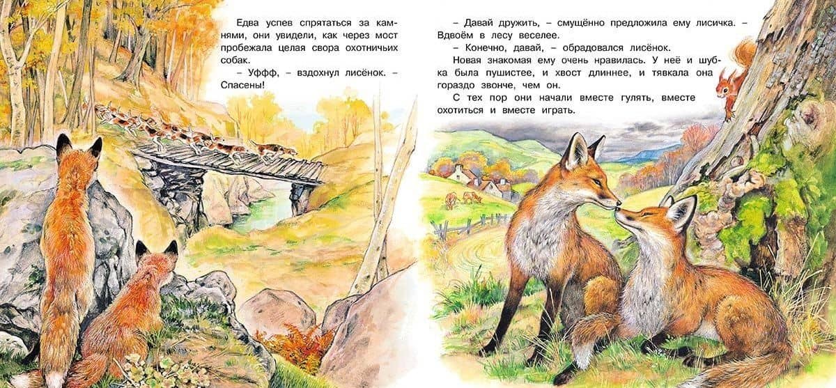 Приключения лисенка — Ирина Валерьевна Гурина (3)