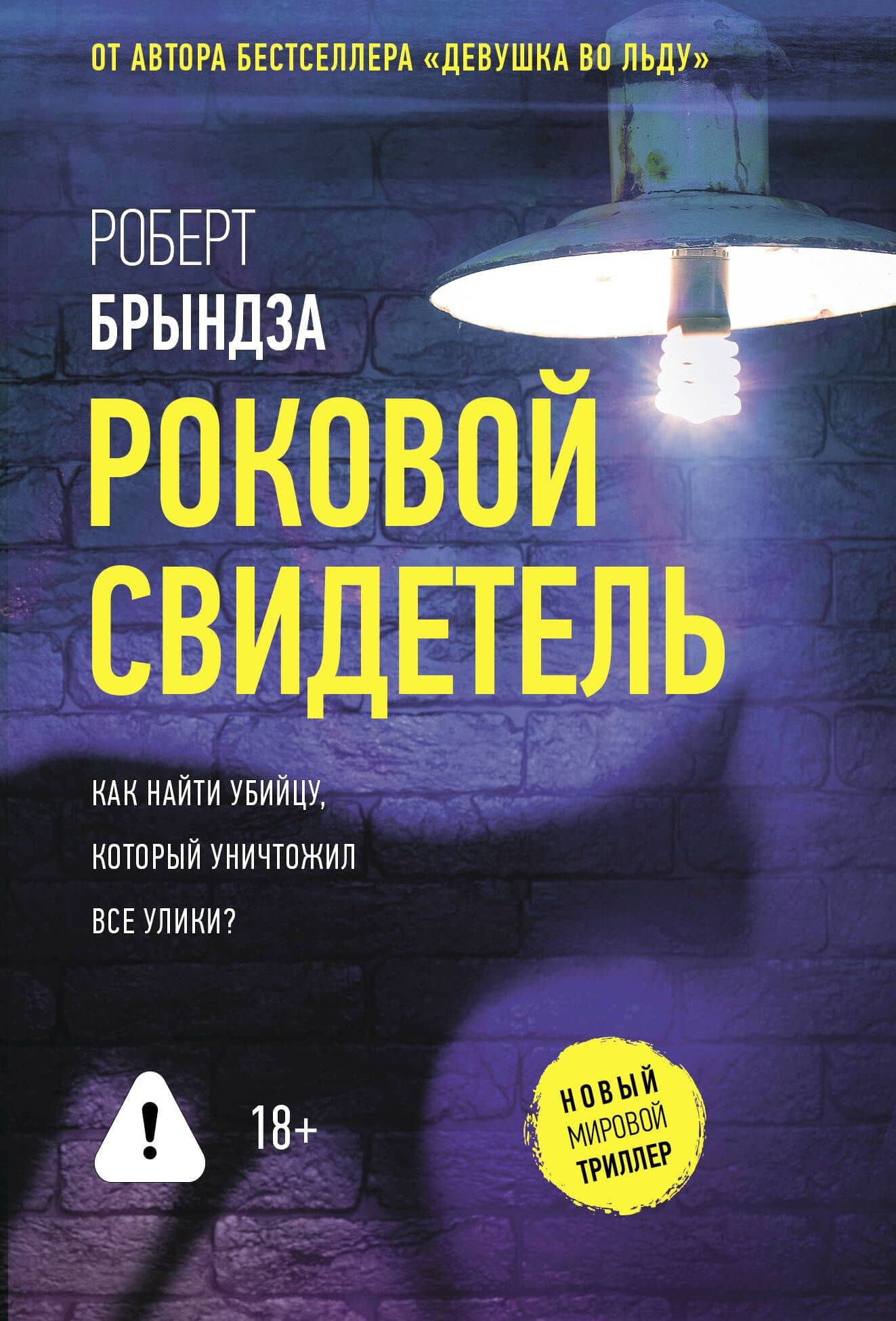 Роковой свидетель — Роберт Брындза