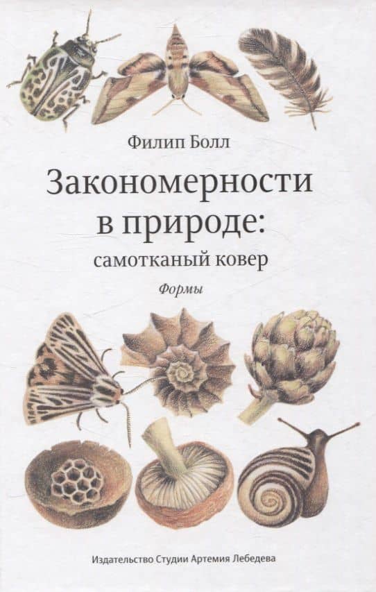 Закономерности в природе: самотканный ковер (в трех частях). Формы — Филип Болл