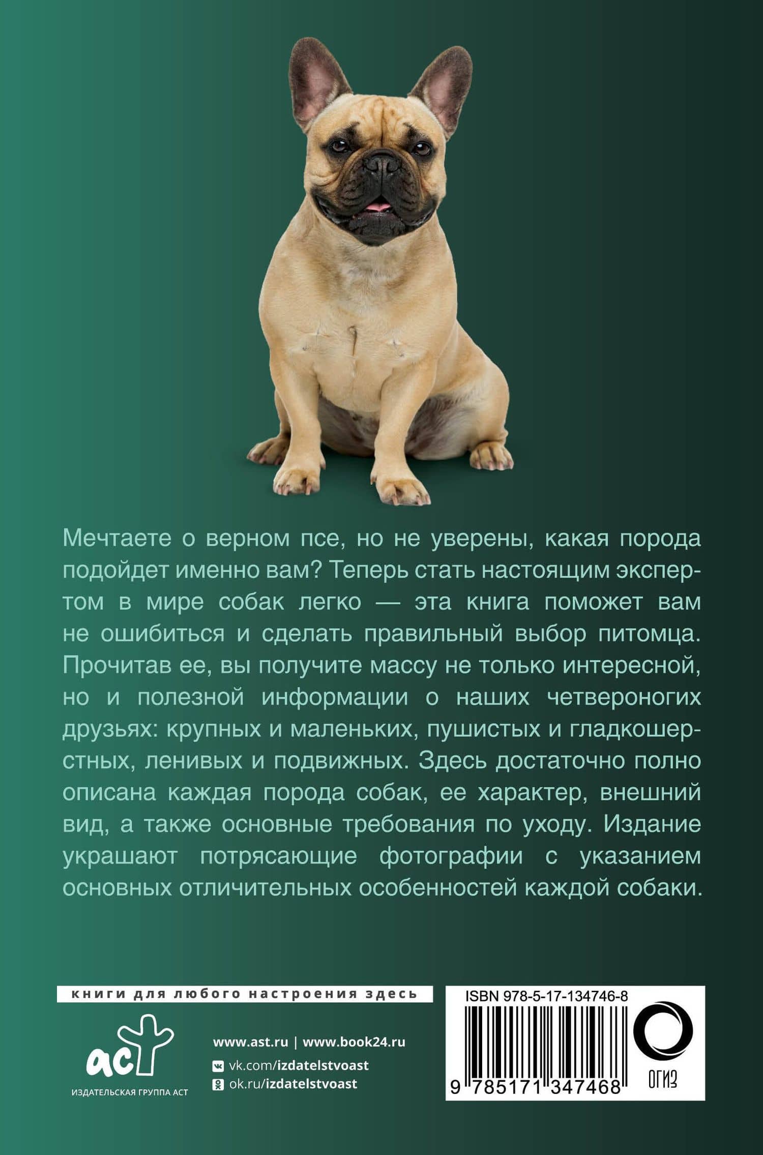 Собаки. Популярный иллюстрированный гид — Любовь Дмитриевна Вайткене (2)