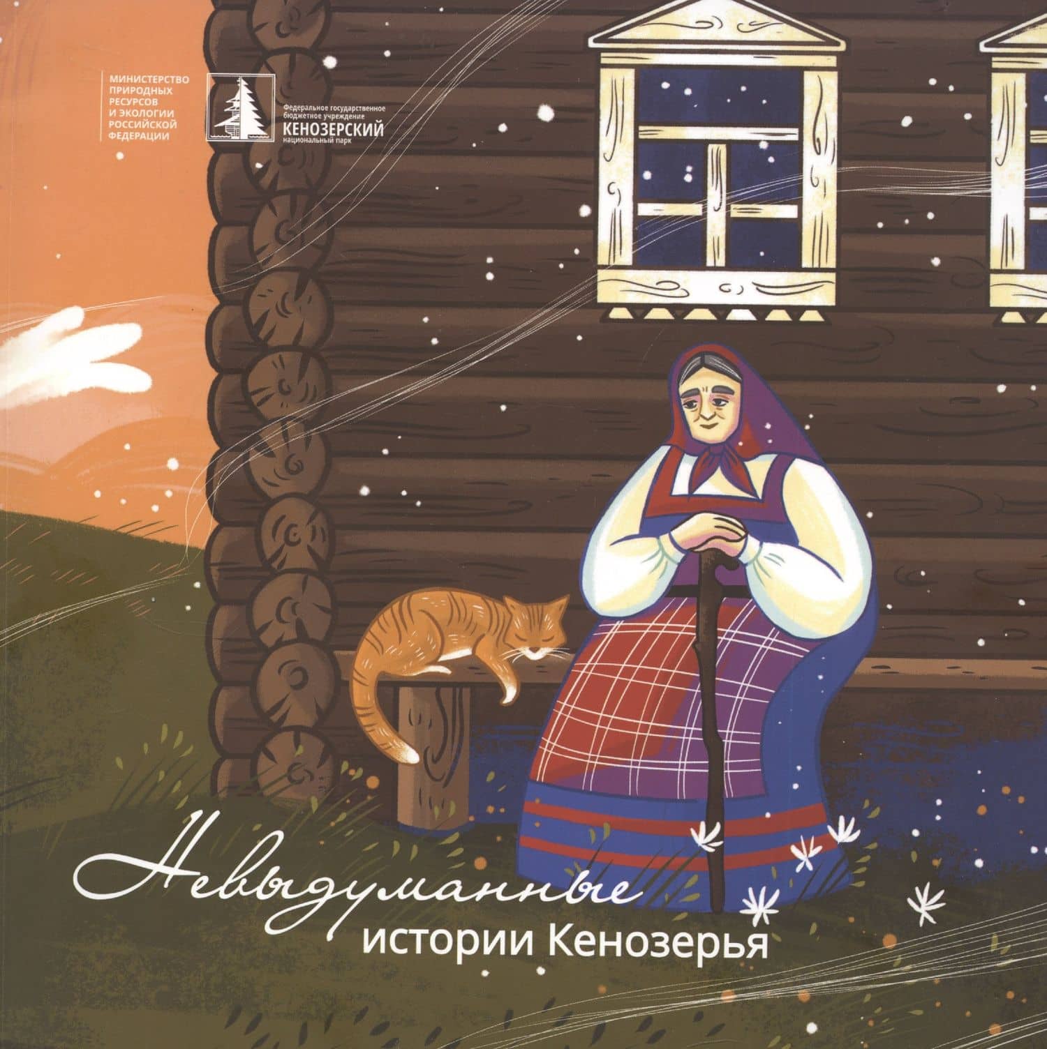Невыдуманные истории Кенозерья — Юлия Овсянникова