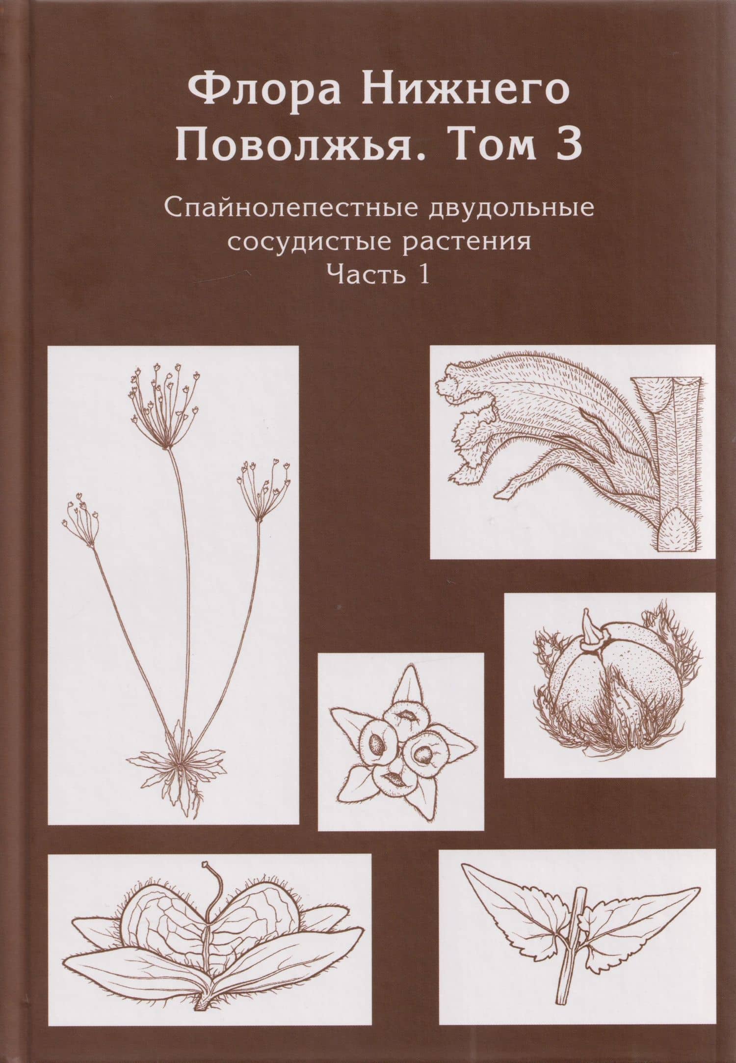 Флора Нижнего Поволжья. Том 3. В 2-х частях (комплект из 2-х книг) (3)