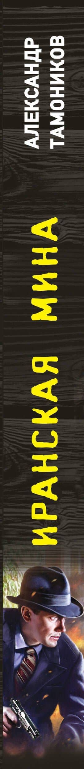 Иранская мина — Александр Александрович Тамоников (3)