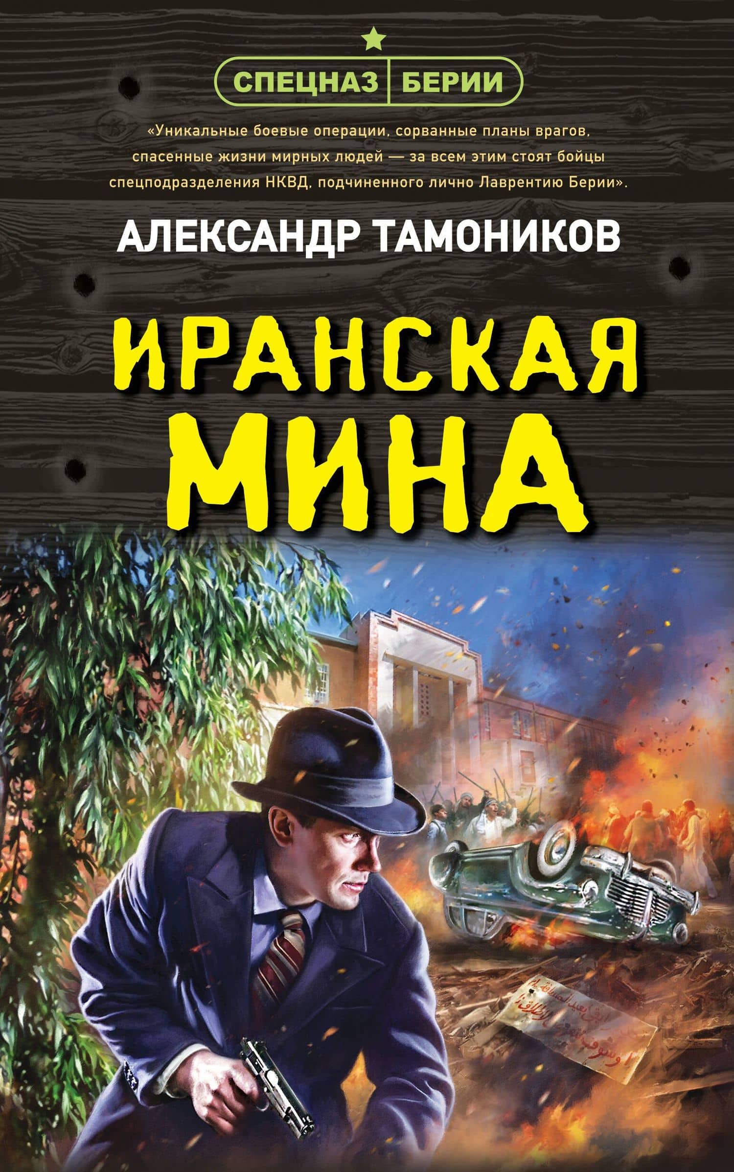 Иранская мина — Александр Александрович Тамоников