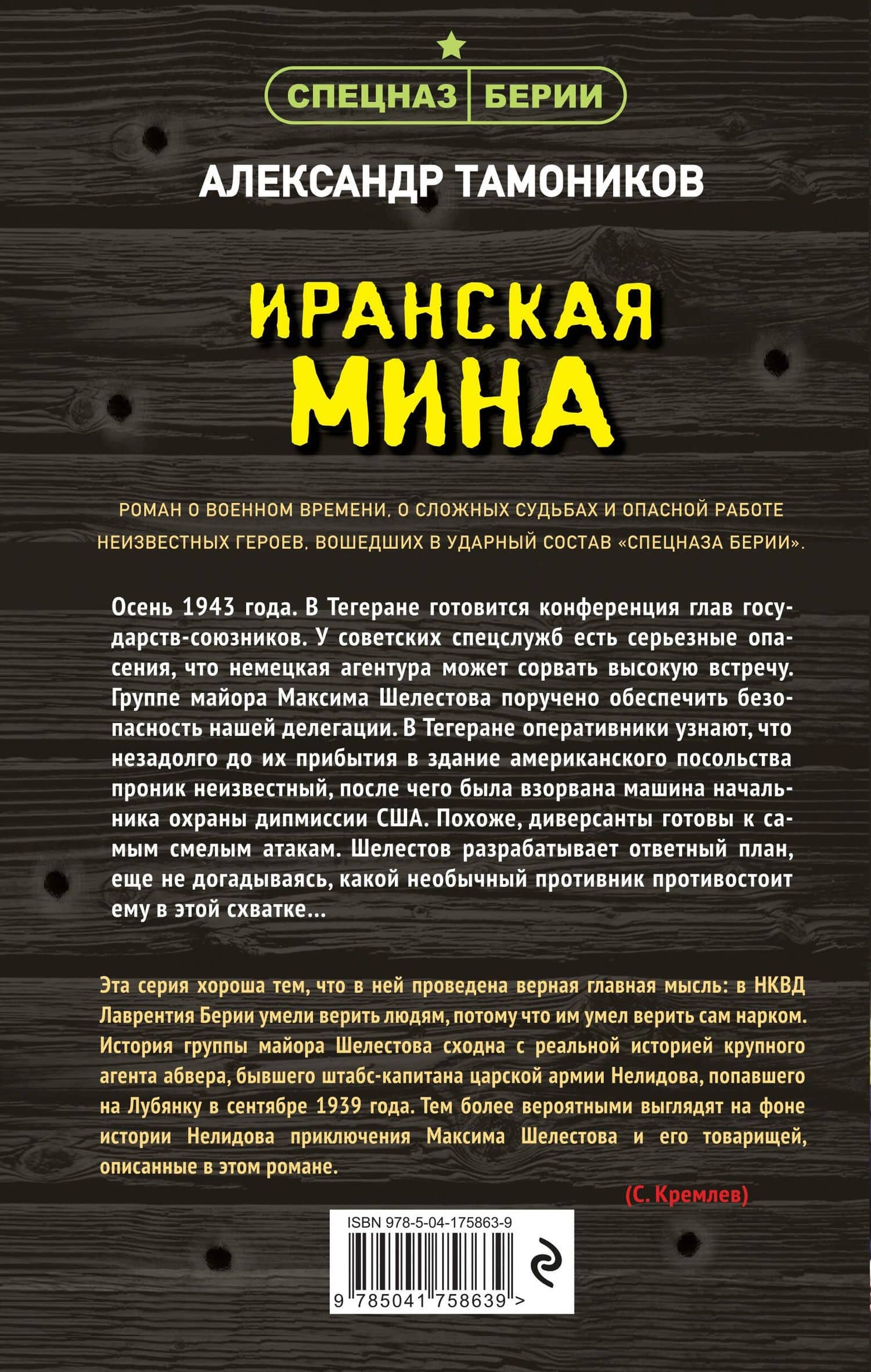 Иранская мина — Александр Александрович Тамоников (2)