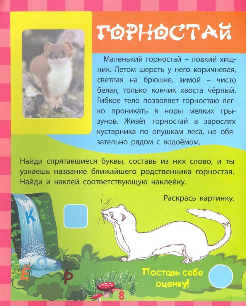 Хищники. Сборник развивающих заданий с наклейками. Загадки, пословицы, скороговорки — Наталья Н. Литвиненко (2)