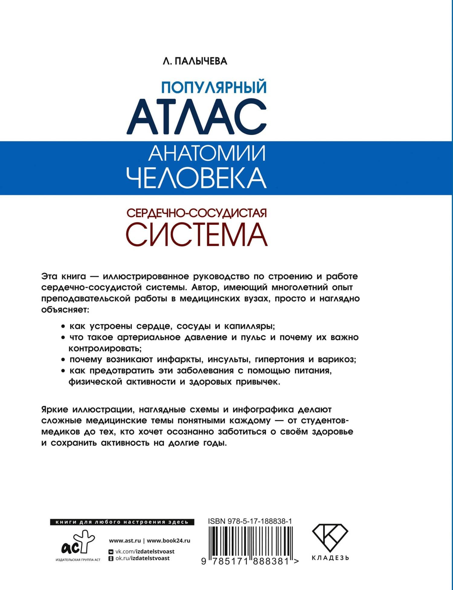 Популярный атлас анатомии человека. Сердечно-сосудистая система — Любовь Николаевна Палычева (2)