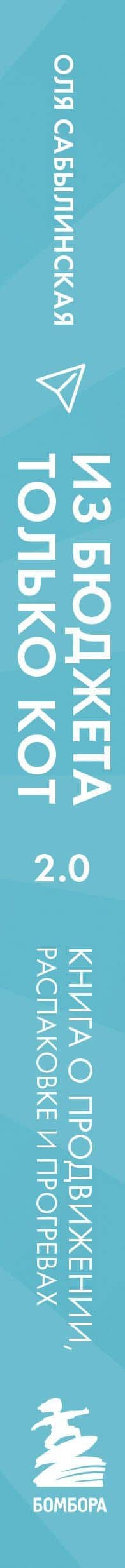 Из бюджета только кот 2.0. Книга о продвижении, распаковке и прогревах — Оля Сабылинская (3)