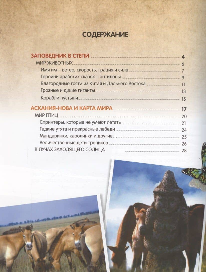 О птичках, рыбках и зверюшках. (Первый шаг в науку). 2021 — Василий Владимирович Климов (2)