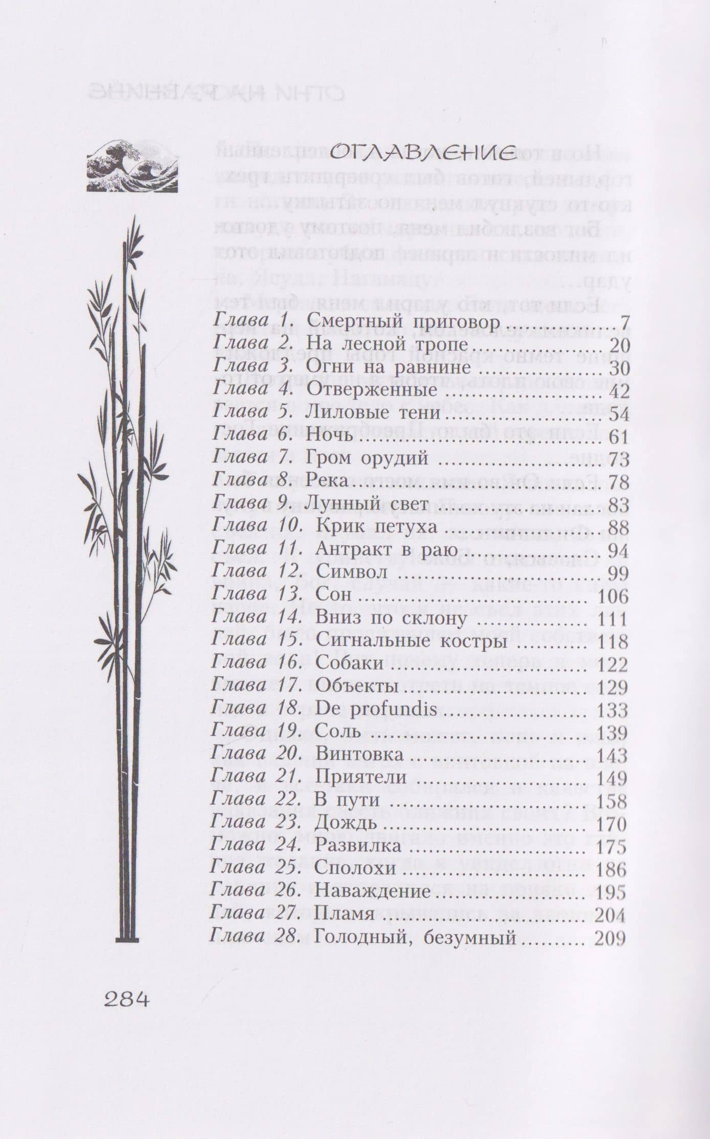 Огни на равнине — Сехэй Оока (3)