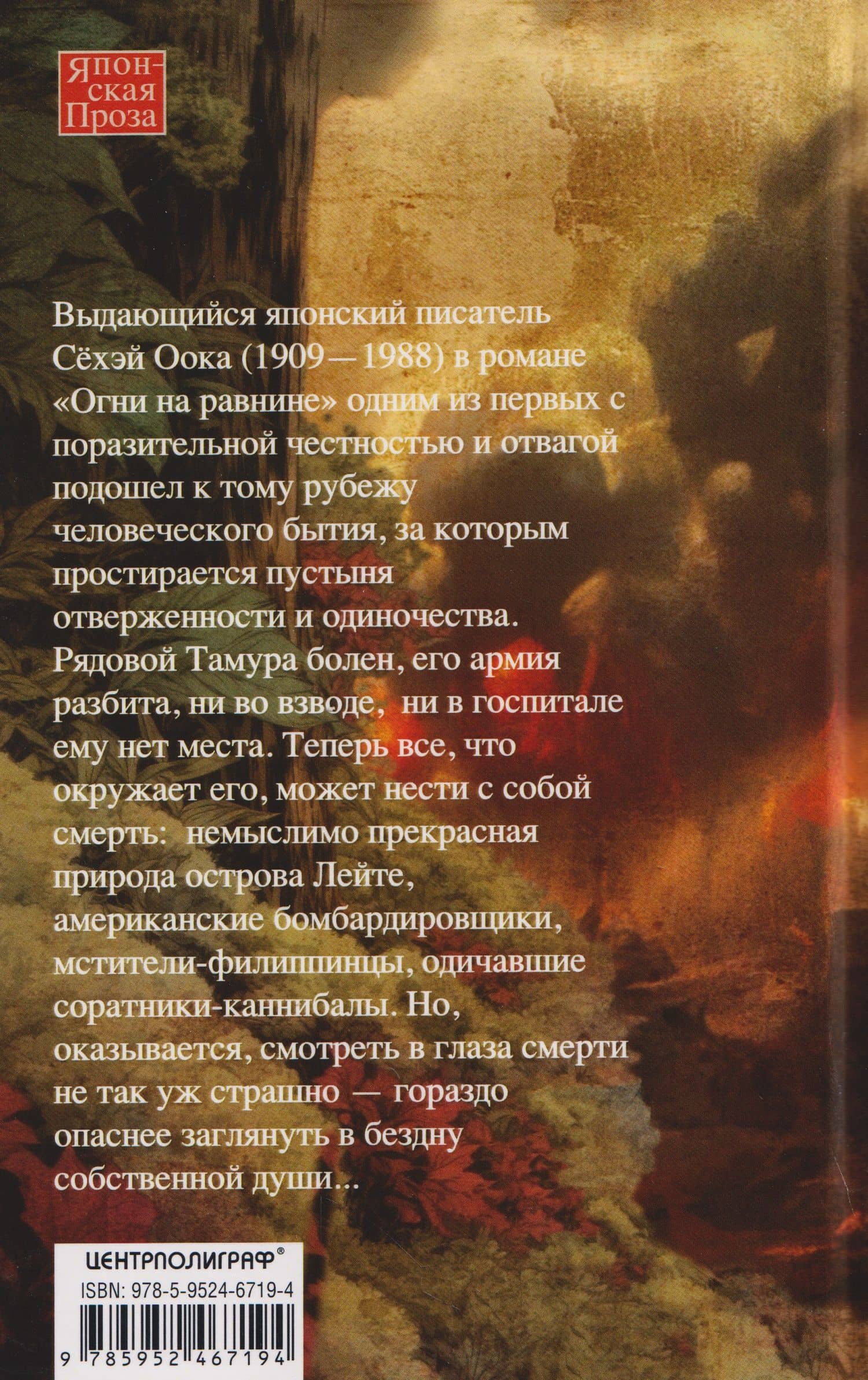 Огни на равнине — Сехэй Оока (2)