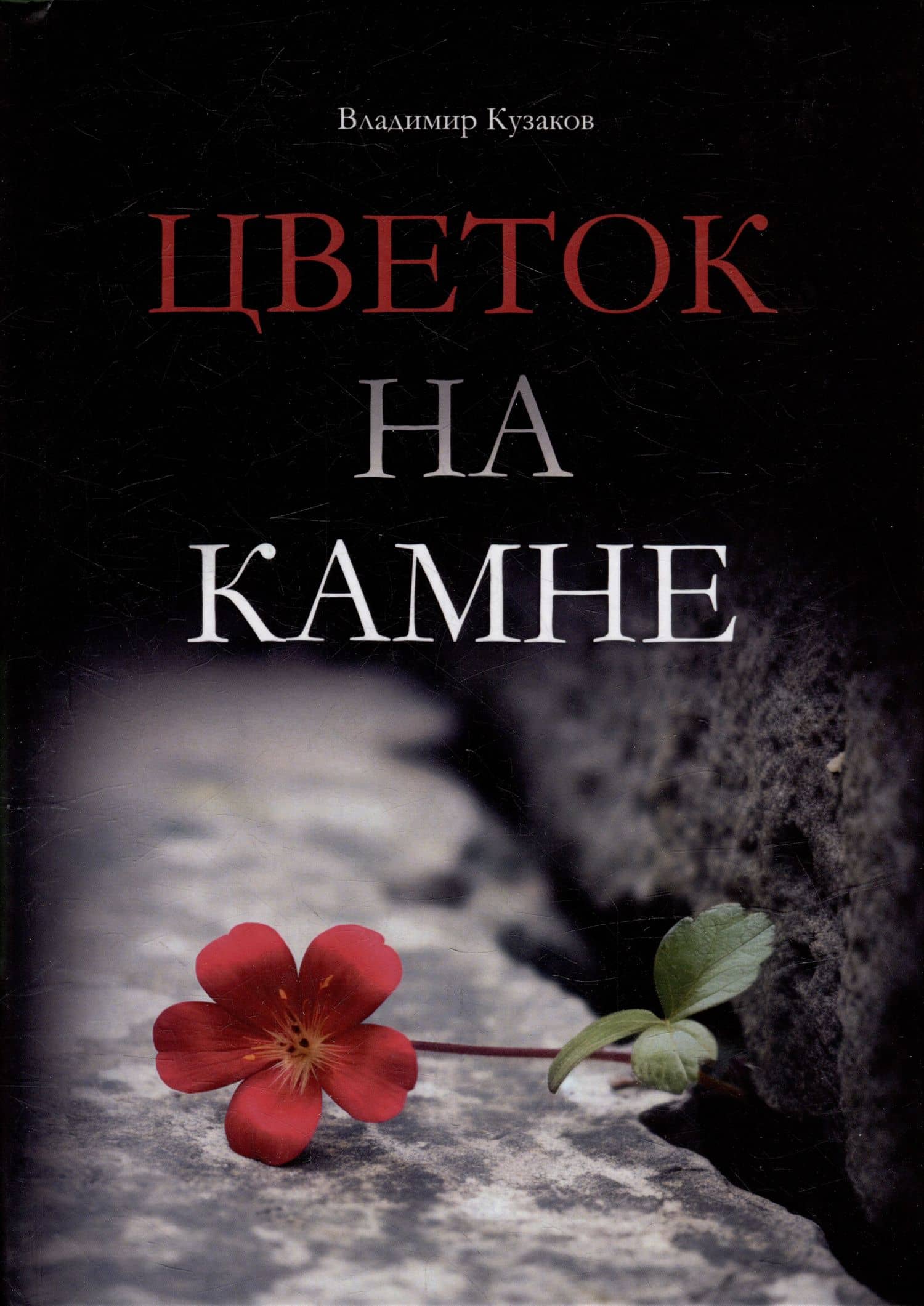 Цветок на камне — Владимир Кузаков